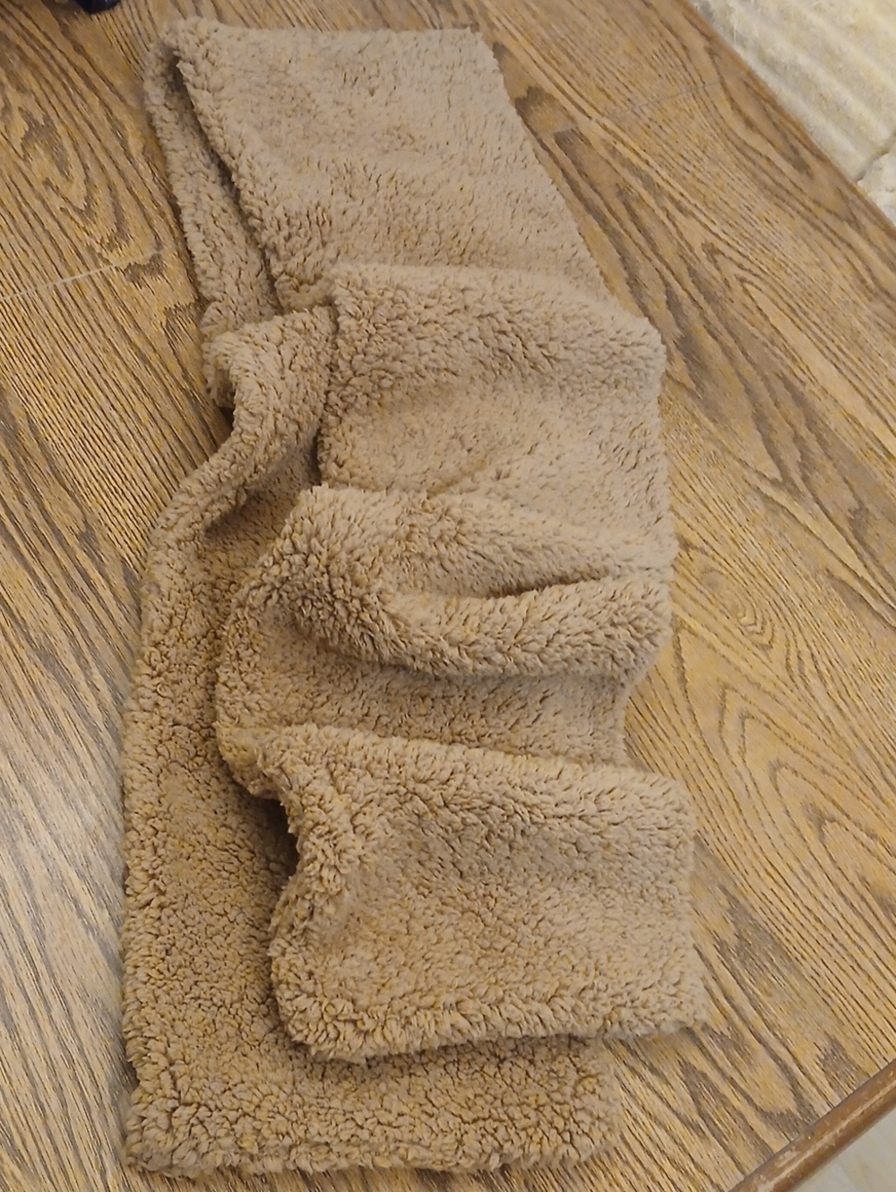 Cozy Plush Fleece Scarf in Light Brown